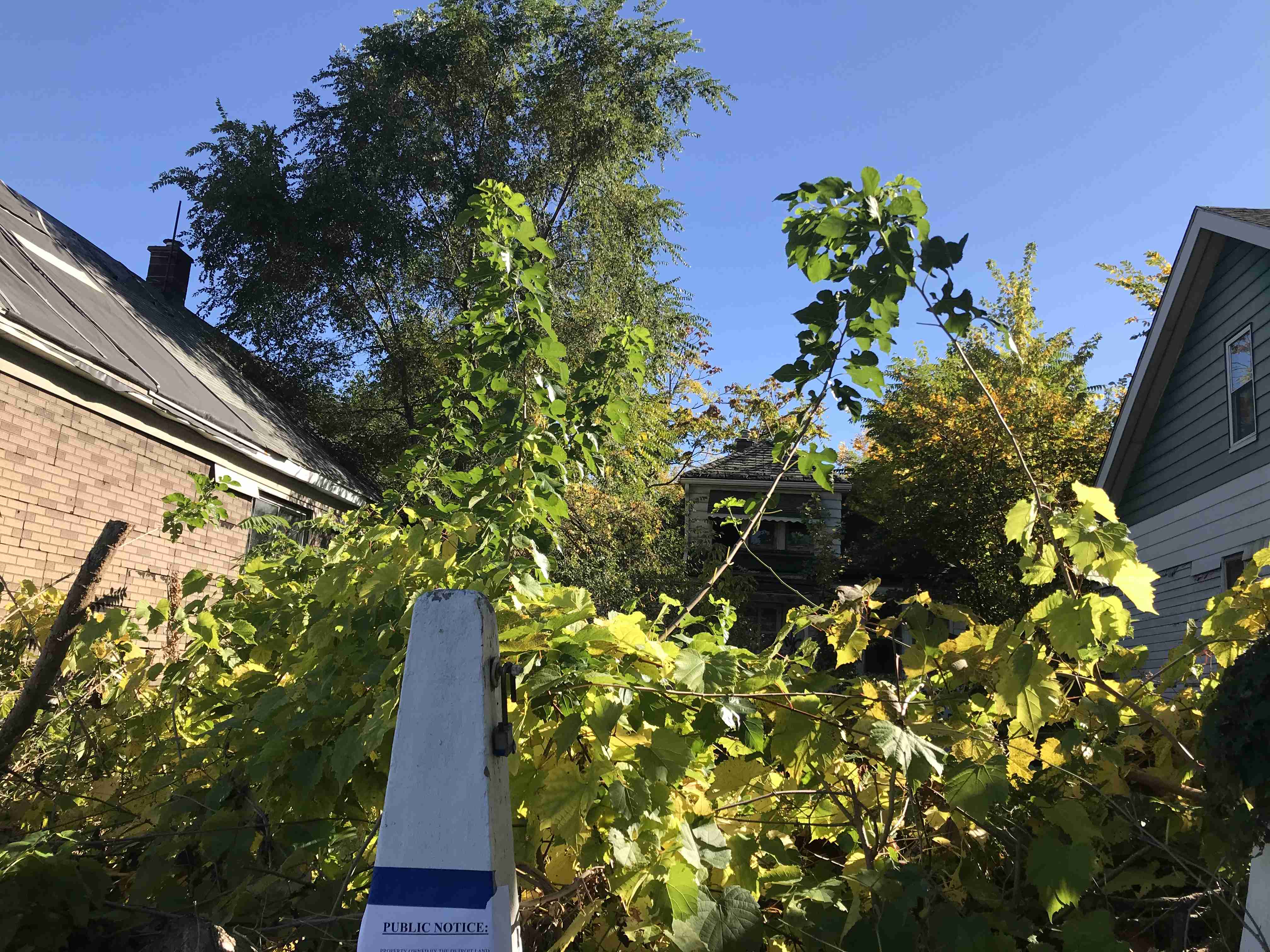 Photo Oct 13, 11 37 51 AM.jpg